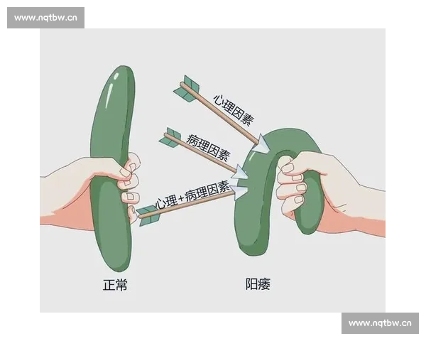 男科健康新视野：探讨男性常见疾病的预防与治疗策略